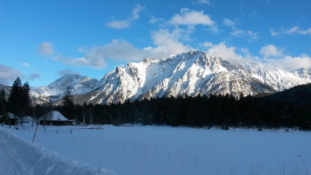 Alpenappartements Schwalbennestl Митенвалд Екстериор снимка