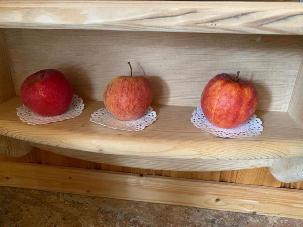 Alpenappartements Schwalbennestl Митенвалд Екстериор снимка
