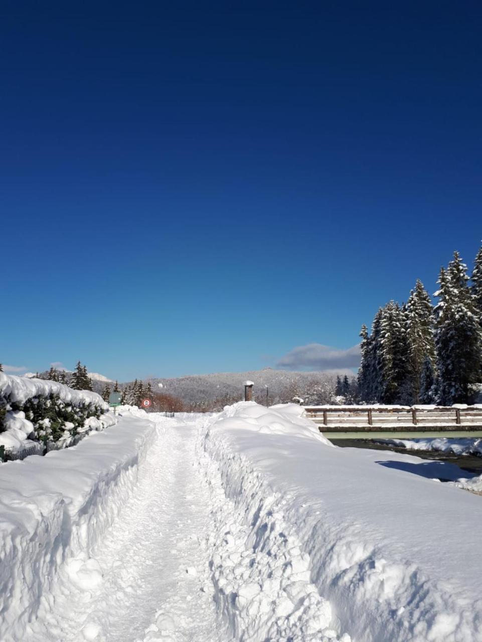 Alpenappartements Schwalbennestl Митенвалд Екстериор снимка